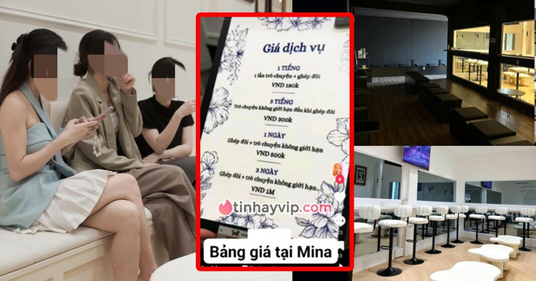 Mina Dating Cafe bị tố biến khách nữ thành đào, maidam trá hình
