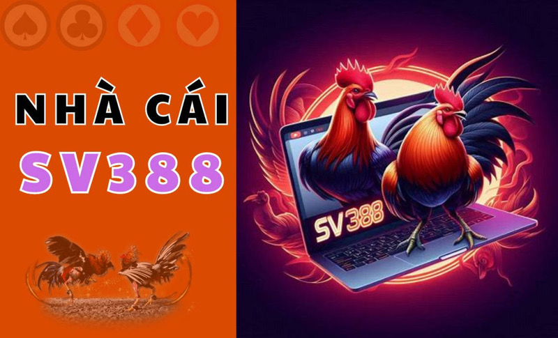 Sv388 nổi tiền với các trò chơi đá gà