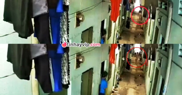 clip-nong-thanh-nien-cuong-hiep-co-gai-cung-day-tro-0 Clip nóng thanh niên công khai cưỡng hiếp cô gái cùng dãy trọ