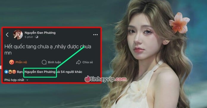 tiktoker-nguyen-dan-phuong-quoc-tang-doi-nhay-0 Toàn cảnh Tiktoker Nguyễn Đan Phương quốc tang đòi nhảy