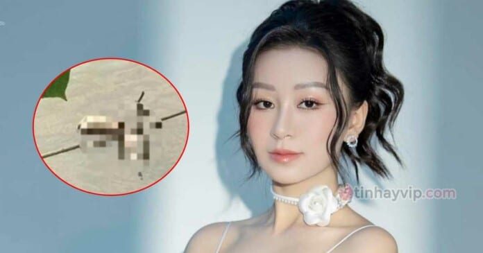 a-khoi-17-tuoi-truoc-khi-bi-sat-hai-bi-ep-di-khach-0 Á khôi 17 tuổi trước khi bị sát hại đã bị ép đi khách