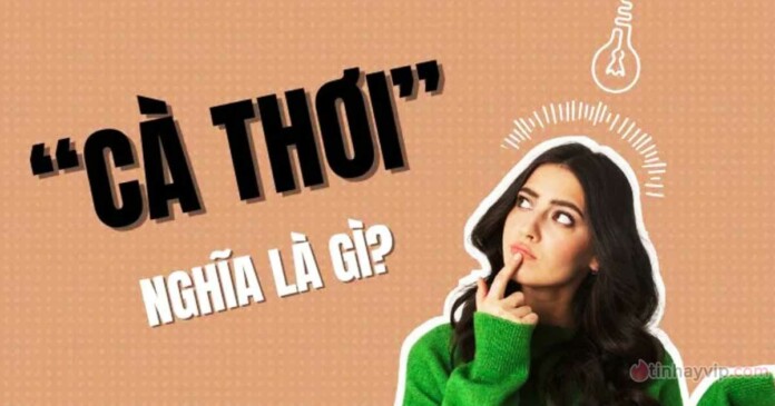 ca-thoi-la-gi-nhung-su-that-thu-vi-ve-ca-thoi-0 Cà thơi là gì? Những sự thật thú vị về cà thơi, tút, kê, thom