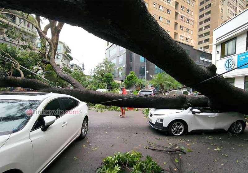 Hình ảnh kinh hoàng của bão Yagi