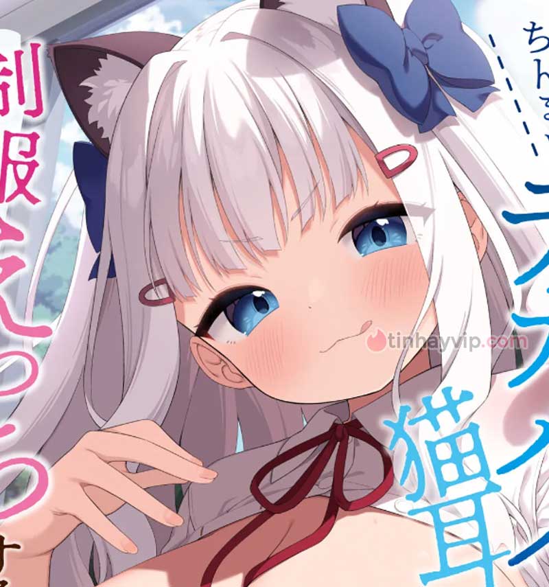 5. Chinmai Dekapai Nekomimi-chan to Seifuku Ecchi suru Hon