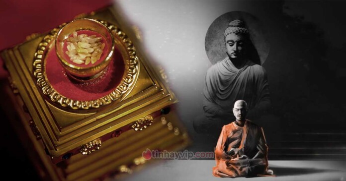 xa-loi-la-gi-xa-loi-duc-phat-co-that-khong-0 Xá Lợi là gì? Xá Lợi Đức Phật được tạo ra như thế nào?