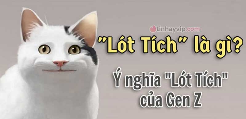 Lót tích nghĩa là gì?