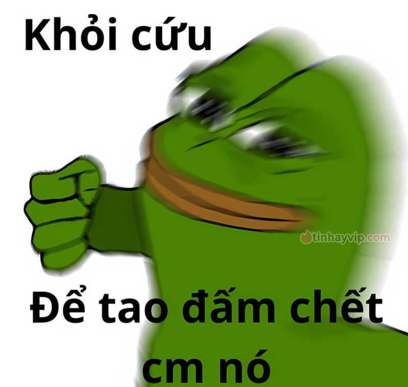 Top ảnh meme hết cứu