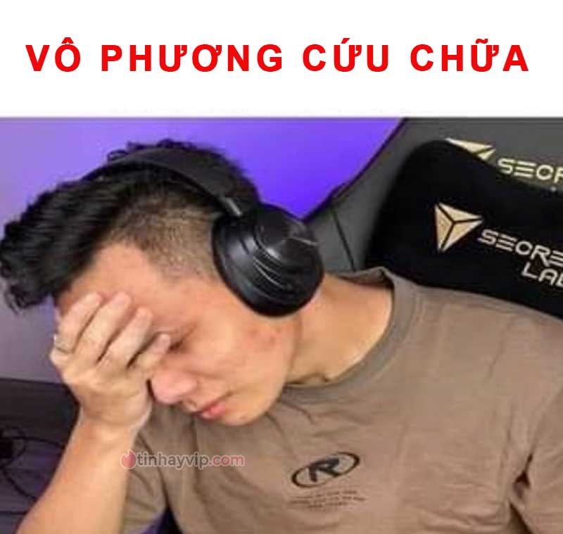 Top ảnh meme hết cứu