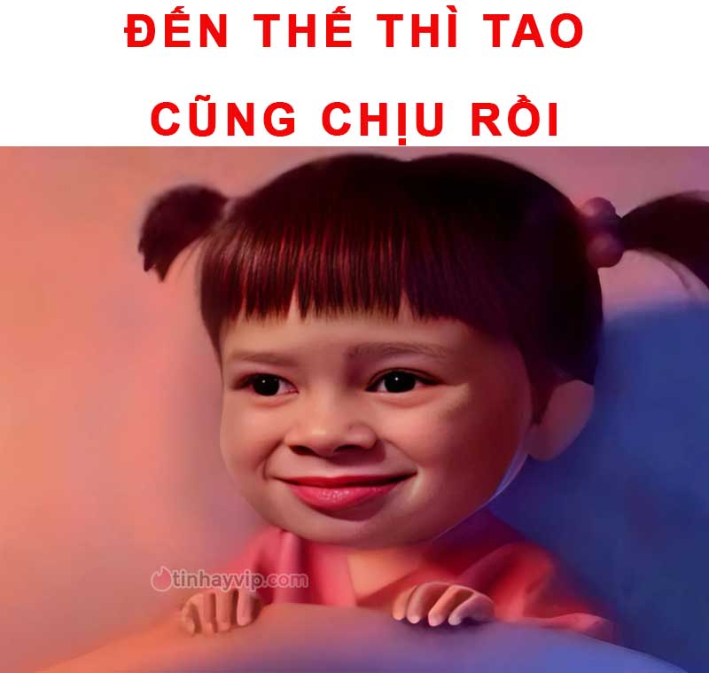 Top ảnh meme hết cứu