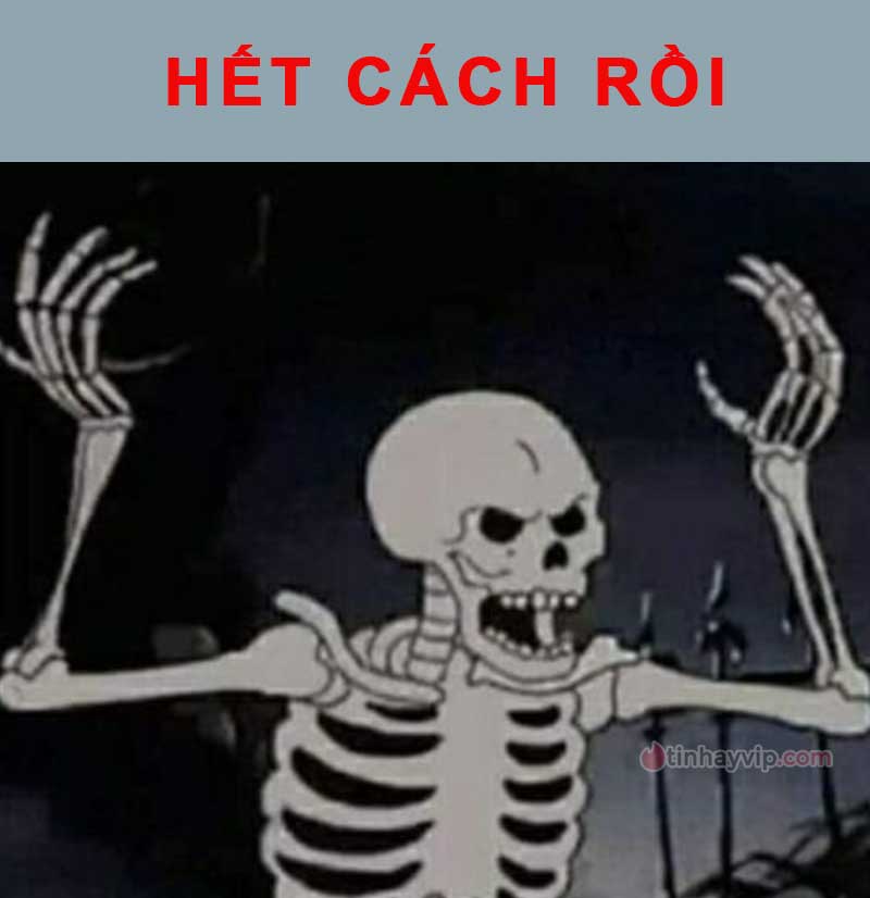 Top ảnh meme hết cứu