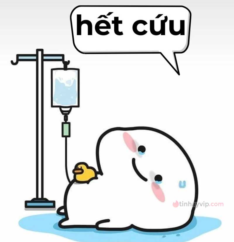 Top ảnh meme hết cứu