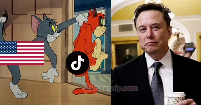 elon-musk-doi-mua-lai-tiktok-doi-ten-thanh-xvideos-0 Elon Musk đòi mua lại TikTok và đổi tên thành Xvideos