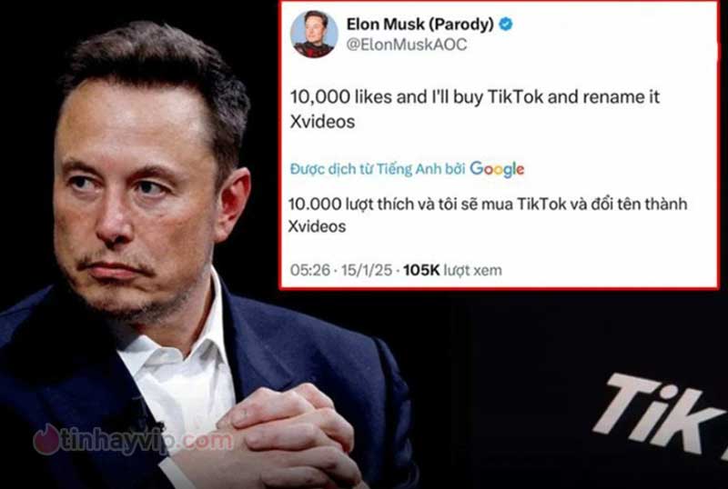 Elon Musk đòi mua lại TikTok