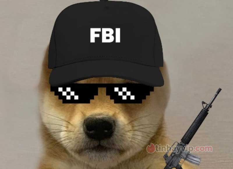 Top ảnh meme FBI