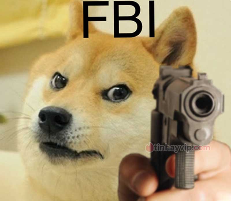 Top ảnh meme FBI