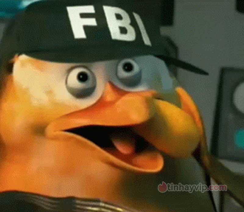 Top ảnh meme FBI