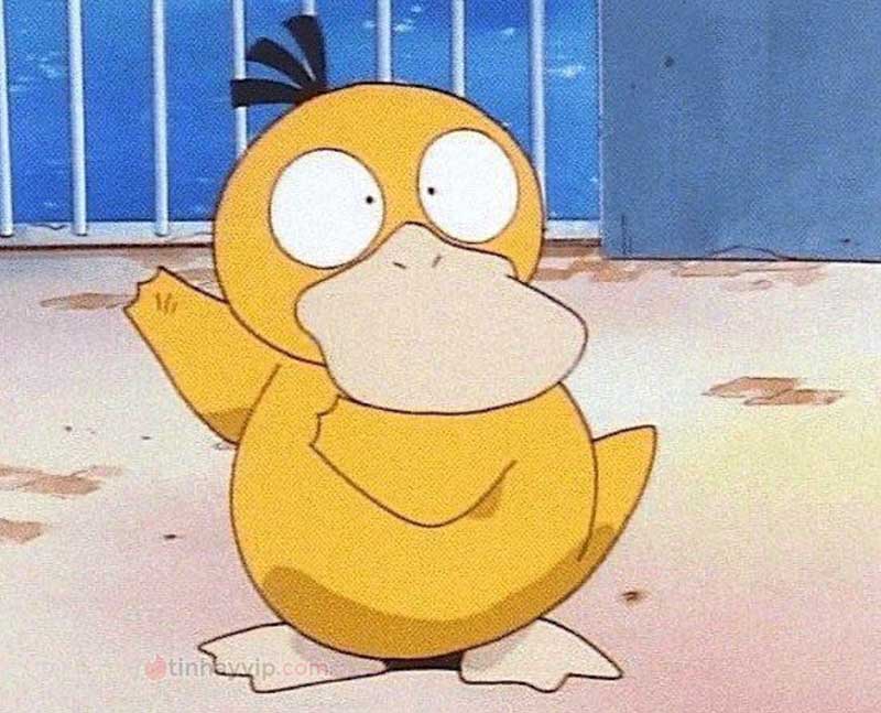 Meme psyduck là gì?