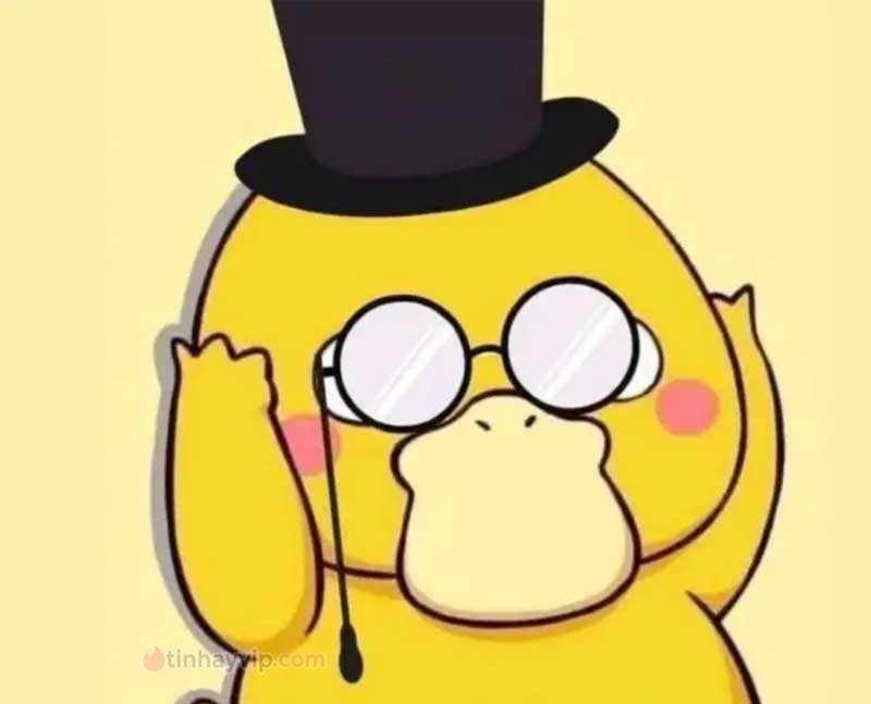 Meme psyduck là gì?