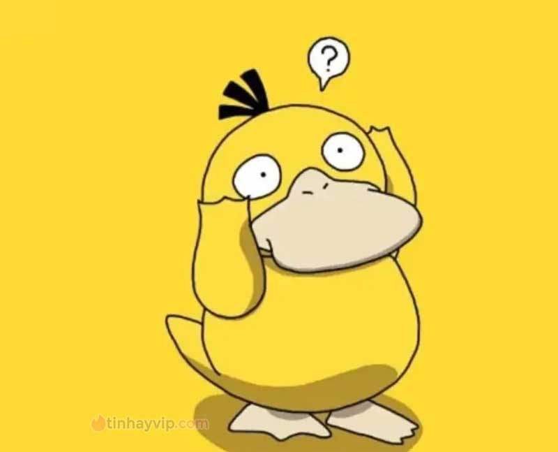 Meme psyduck là gì?