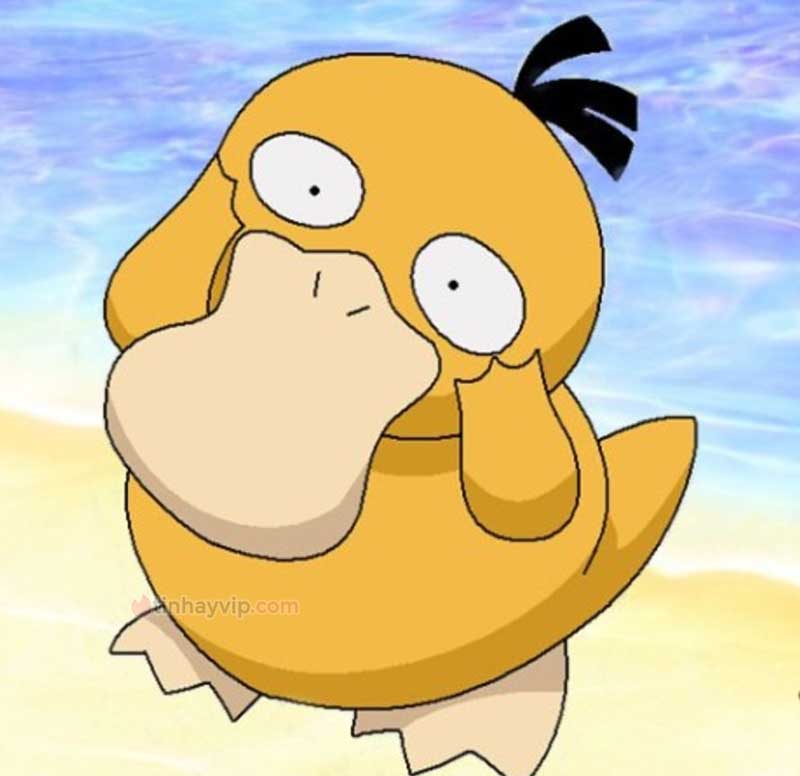 Meme psyduck là gì?