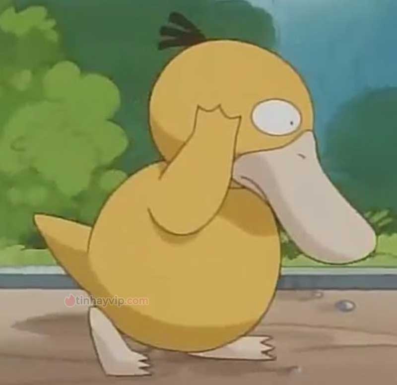 Meme psyduck là gì?