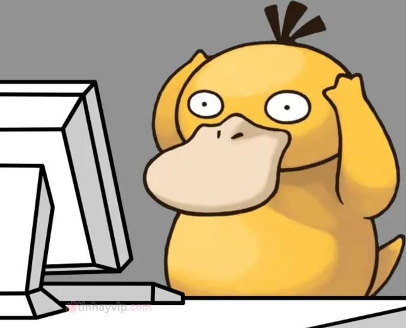 Meme psyduck là gì?