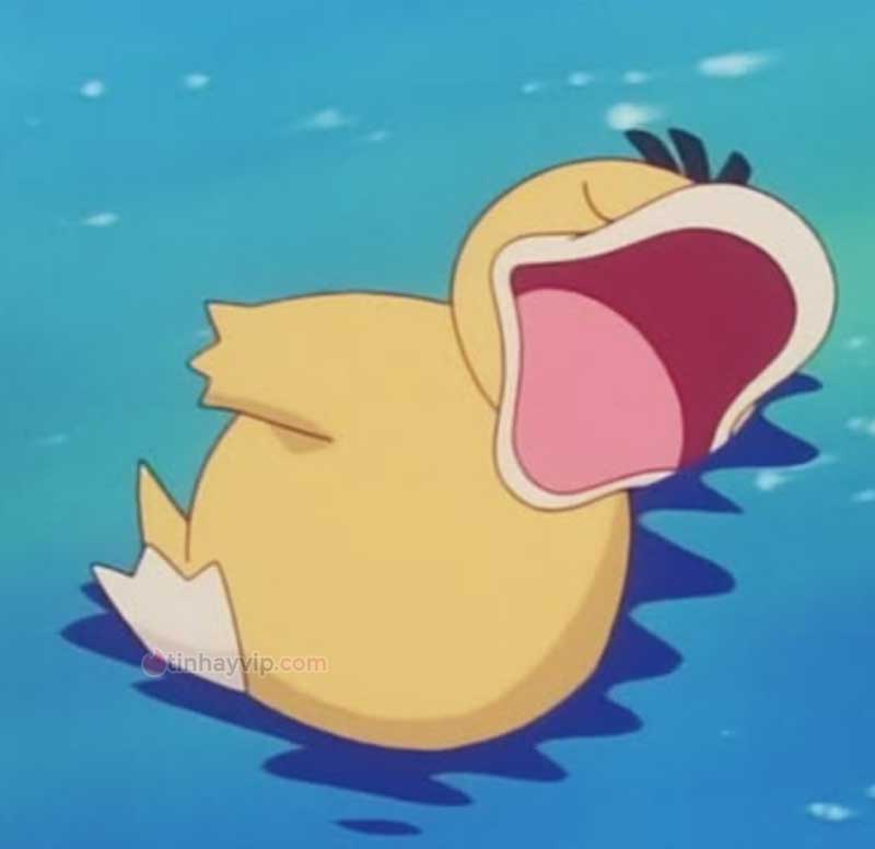 Meme psyduck là gì?