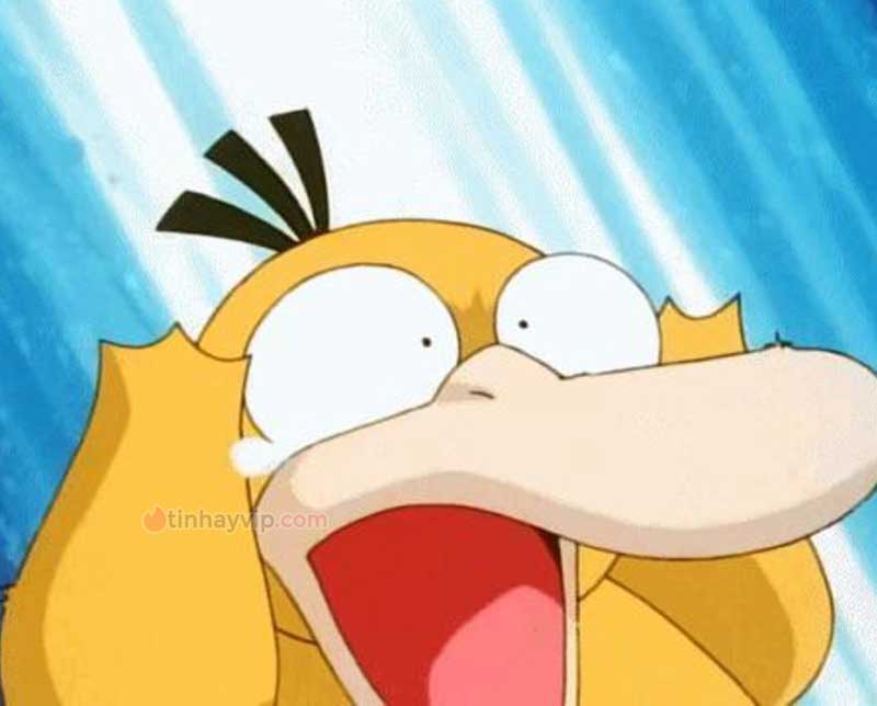 Meme psyduck là gì?