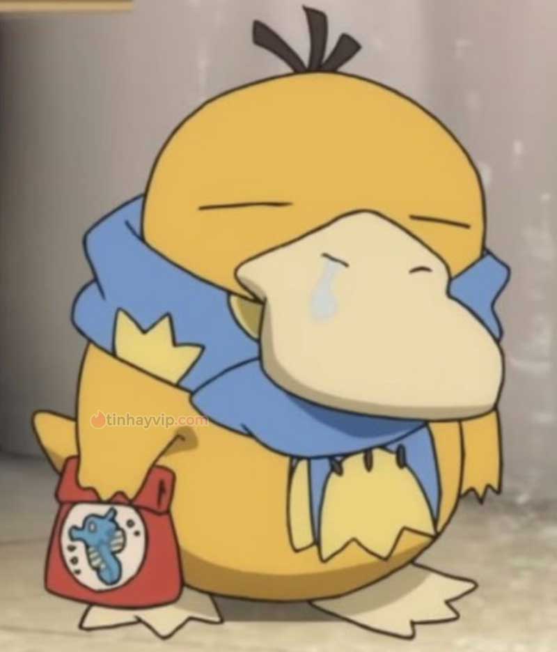 Meme psyduck là gì?