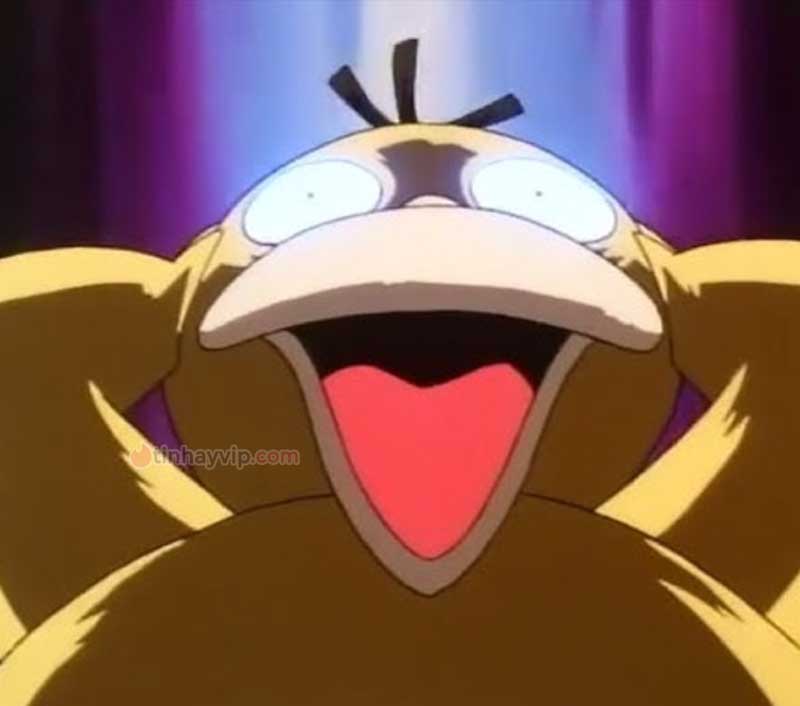 Meme psyduck là gì?