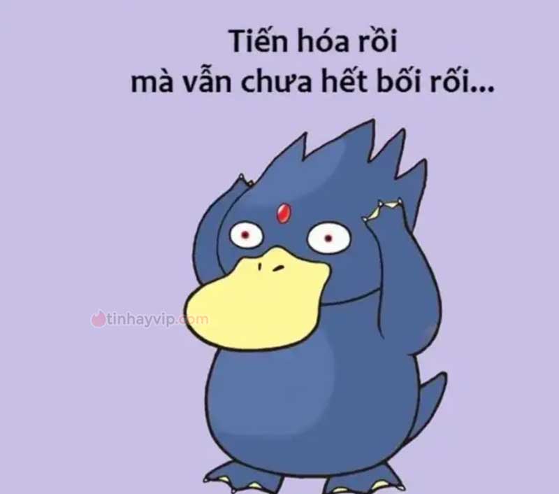 Meme psyduck là gì?