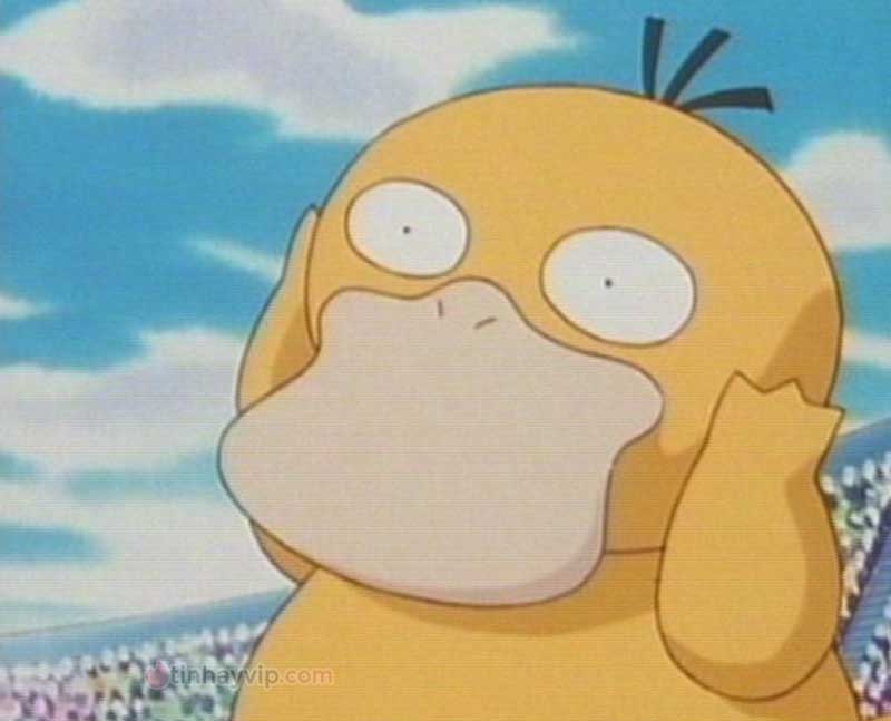 Meme psyduck là gì?