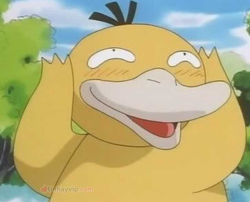 Meme psyduck là gì?