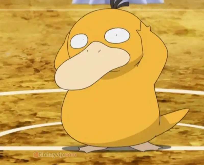 Meme psyduck là gì?