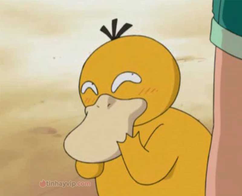 Meme psyduck là gì?