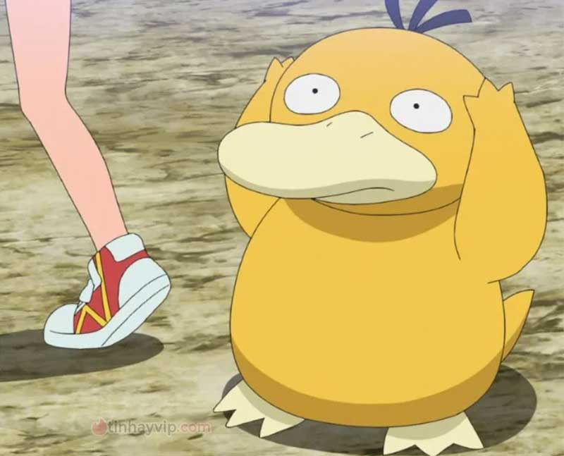 Meme psyduck là gì?