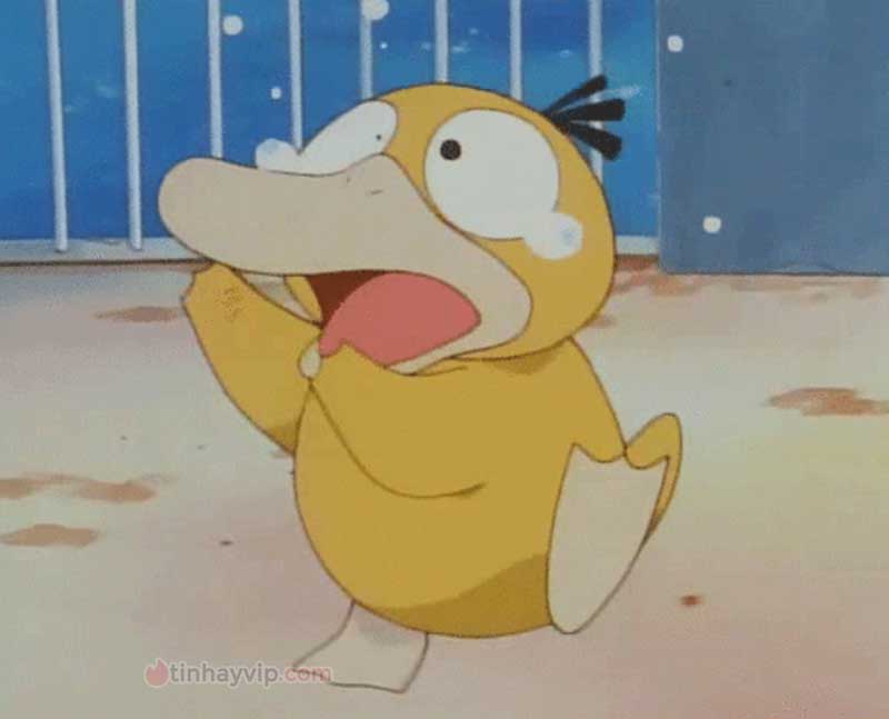 Meme psyduck là gì?