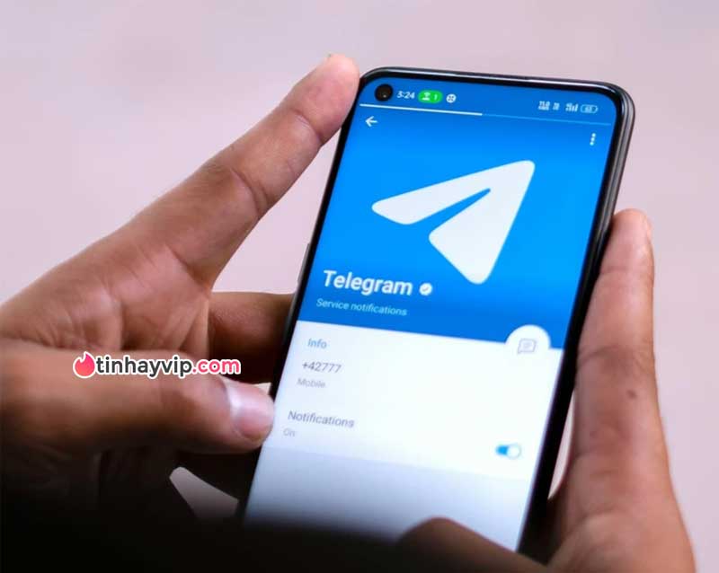 Qúa nhiều nội dung 18+, Telegram bị chặn tại Việt Nam