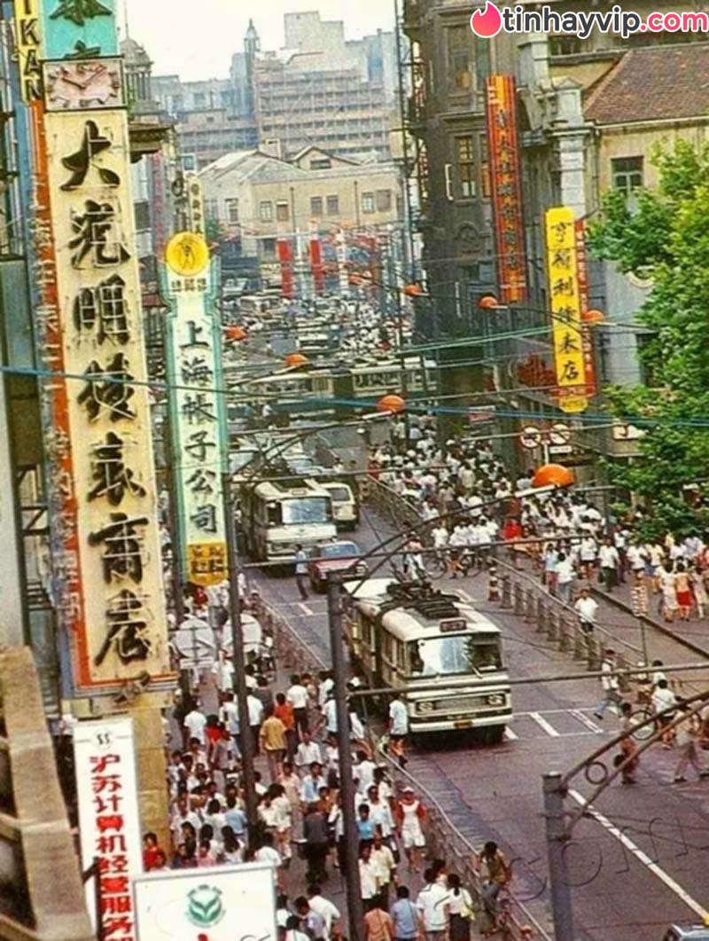 Vụ "xác người chiên giòn" ở Hong Kong năm 1993 và phán quyết đầy tranh cãi của tòa Vụ "xác người chiên giòn" ở Hong Kong năm 1993 và phán quyết đầy tranh cãi của tòa
