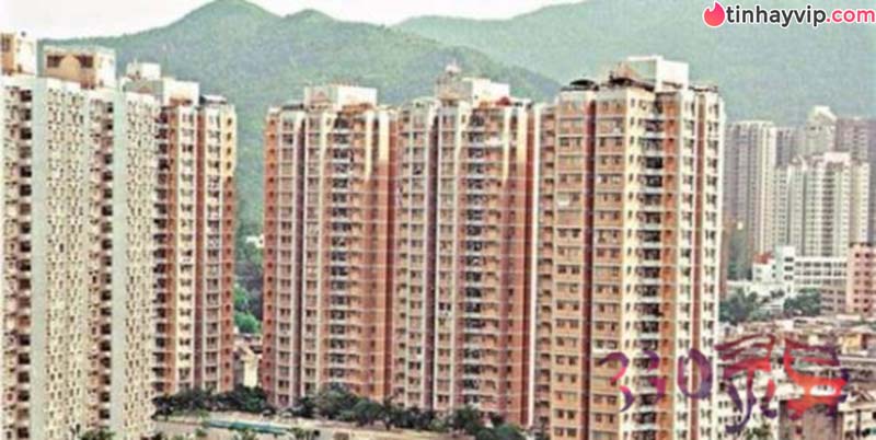 xác người chiên giòn