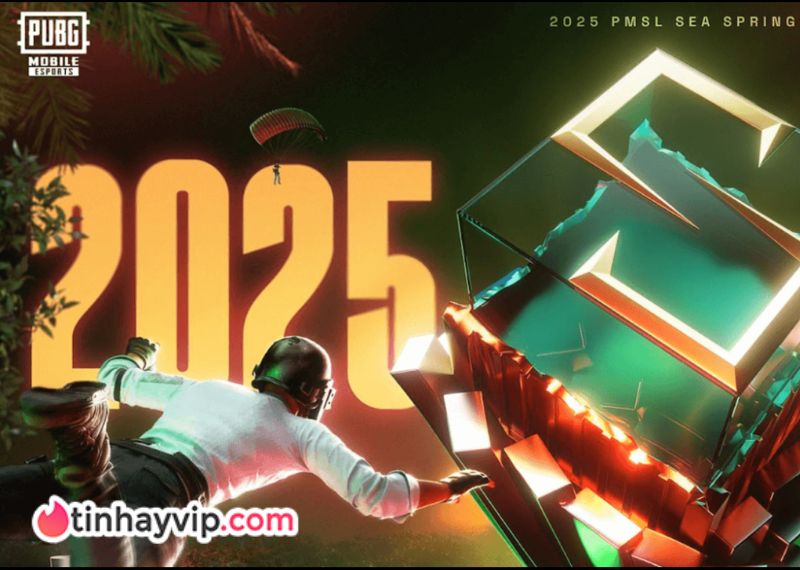 Việt Nam tại vòng CK PMSL SEA Summer 2025 với 4 đội tuyển