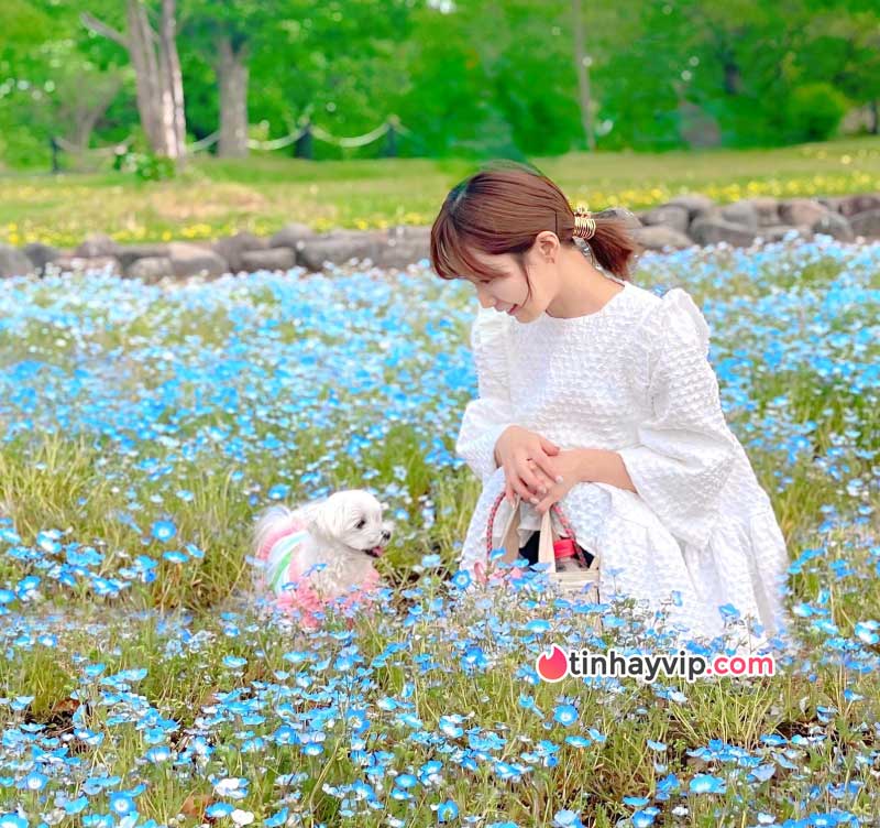 Minami Kojima từ idol JAV đến chủ tịch giới kinh doanh Minami Kojima từ idol JAV đến chủ tịch giới kinh doanh