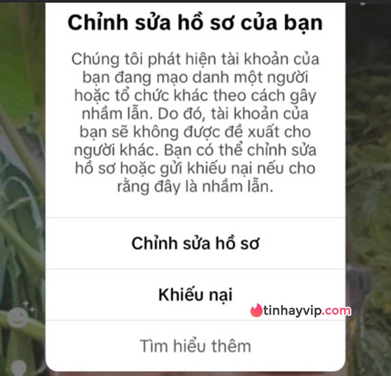 TikTok lỗi, hàng loạt tài khoản bị cảnh báo mạo danh