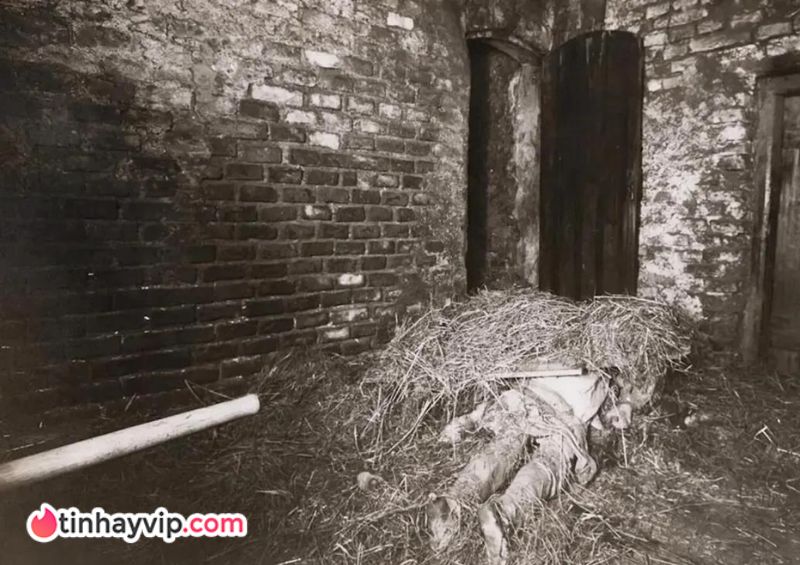Diễn tiến điều tra và sự kỳ lạ gây ám ảnh người nghe.