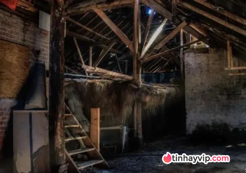 Bí ẩn vụ án trang trại bị ma ám: 6 mạng người không lời giải Hiện trường vụ án trang trại Hinterkaifeck là một chuồng gia súc với đầy rơm bên trong.