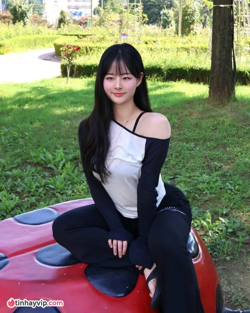 Dasul gym