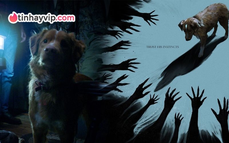 Phim kinh dị Good Boy gây ấn tượng toàn cầu với trailer ngắn