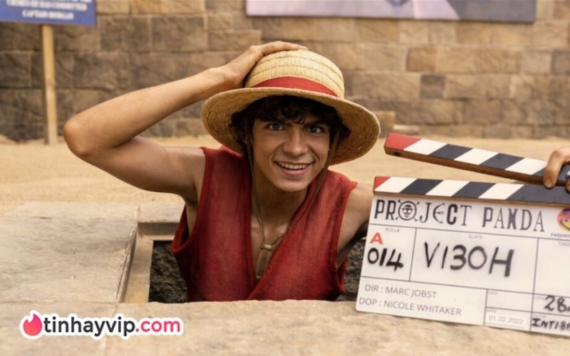 One Piece live-action: Có mùa 2, Netflix xác nhận luôn mùa 3