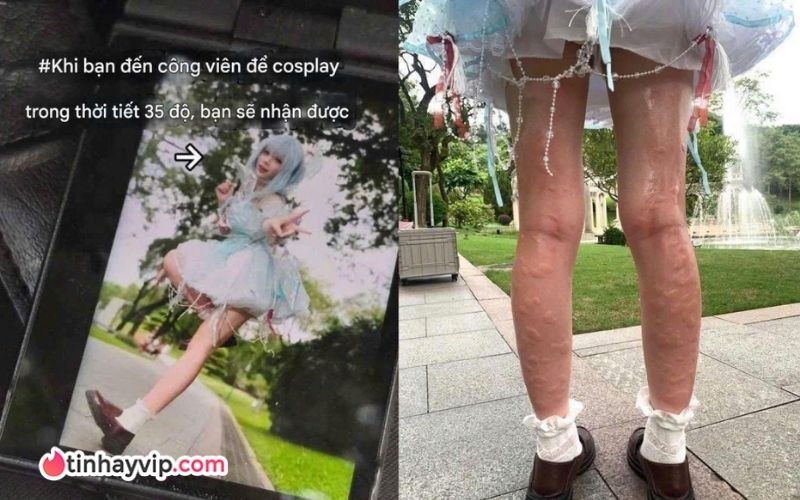 Otter Ki và sự tận tâm với cosplay