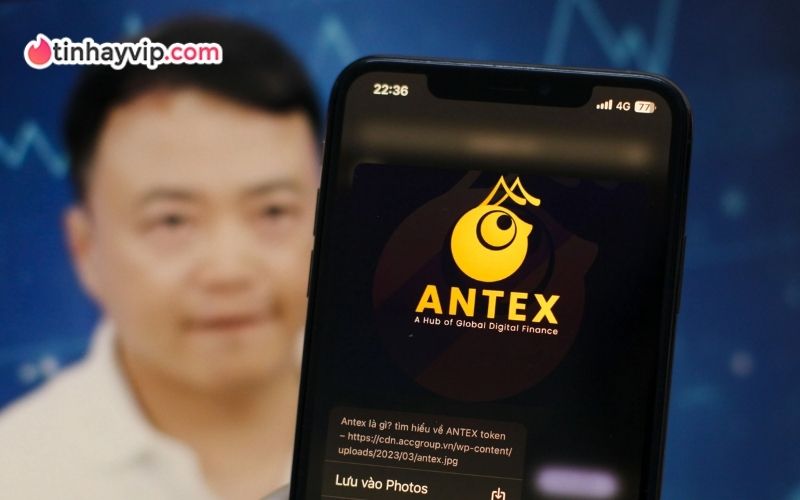Tóm tắt vụ Shark Bình - AntEx với các nội tình đầy nghi vấn
